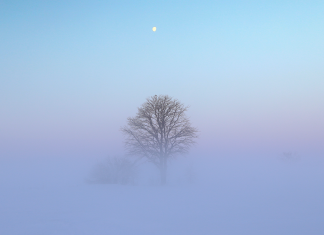 Sorting Through the Noise: The Evolving Nature of the Fog of War