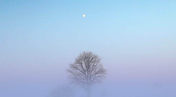 Sorting Through the Noise: The Evolving Nature of the Fog of War