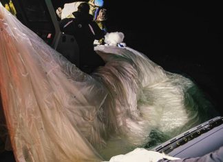 Scenes of beauty in ocean salvage, from a Norfolk-based Navy photographer – Daily Press