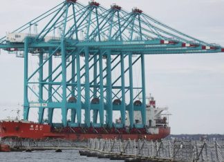Are Hampton Roads’ giant cranes spying on us for China? The Pentagon has concerns. – Daily Press