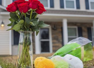 Virginia native identified as soldier killed in South Carolina shooting, Army says – Daily Press