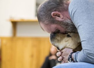 puppy raisers – Daily Press
