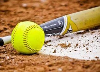 York, New Kent players named all-state in softball – Daily Press