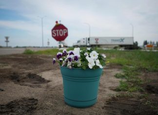 Canada police say bus carrying seniors did not have the right of way in crash that killed 15 – Daily Press