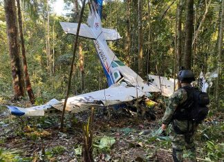 Losing hope of finding kids in plane crash, Indigenous searchers turned to a ritual: Ayahuasca – Daily Press