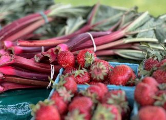 June is rhubarb picking time in the garden — so pucker up – Daily Press