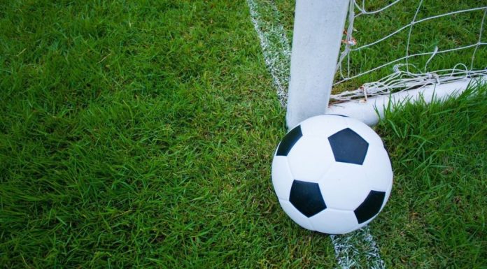 Former William & Mary, ODU players become factor in The Soccer Tournament – Daily Press