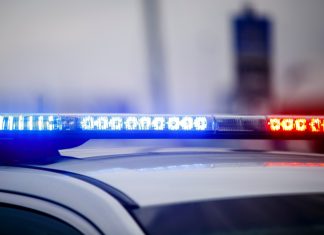 Man charged with killing 84-year-old grandmother, Norfolk police say – Daily Press