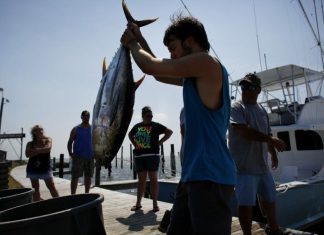 North Carolina to launch new boating, fishing, hunting registration system – Daily Press