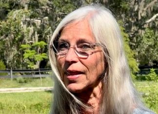 Florida issues health advisory after 4 locally contract malaria in first spread in US in 20 years – Daily Press