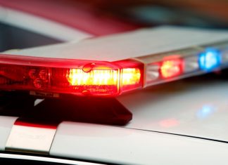 Georgia teens arrested in Newport News, charged with murder and other felonies – Daily Press