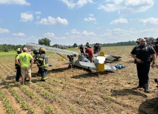 Pilot injured in small plane crash in Suffolk – Daily Press