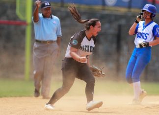 Hickory swings its way into a second consecutive state softball championship game – Daily Press