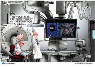 Michael Ramirez: Reelection Chances