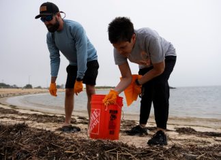 Annual ‘Clean the Bay Day’ brings out 3,600 volunteers statewide – Daily Press