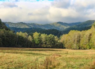 3.2 earthquake near N.C. mountain town is 5th there in 2 weeks, USGS says – Daily Press