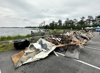 Volunteers collect 12,000 pounds of Virginia Beach tornado debris at First Landing State Park – Daily Press
