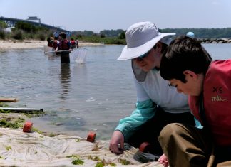 Open house gives VIMS visitors a closer look at ocean life – Daily Press
