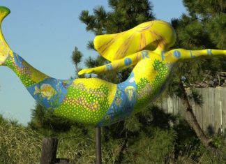Mermaid Festival to feature mermaid costume contest and swim races