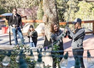 Upgrade your patio on a budget with these finds for less than $100 – Daily Press