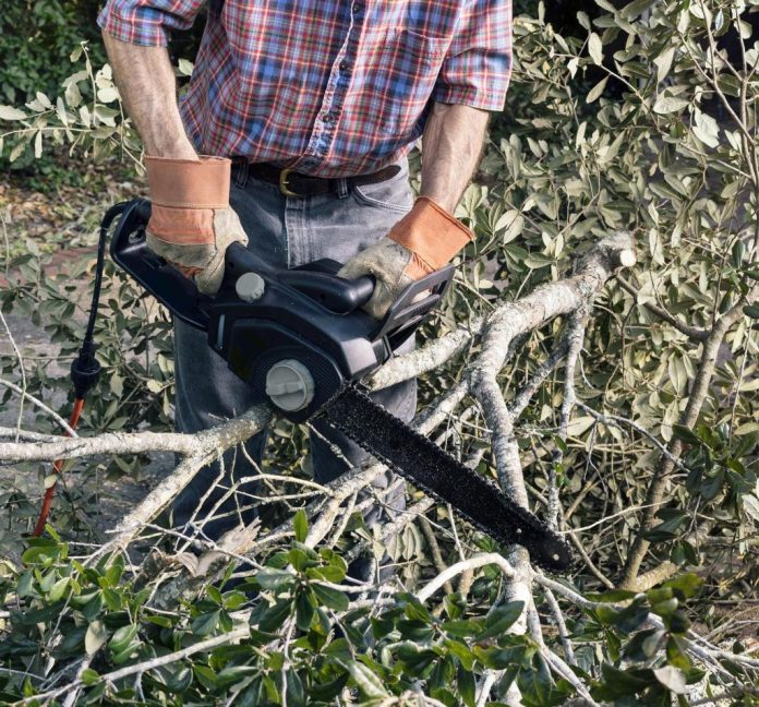 202307130400MCT_____PHOTO____LIFE-HOME-BANKRATE-INSURANCE-TREEREMOVAL-DMT.jpg