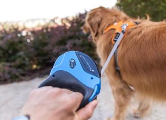 Give your dog safety and freedom with the 7 best retractable dog leashes – Daily Press