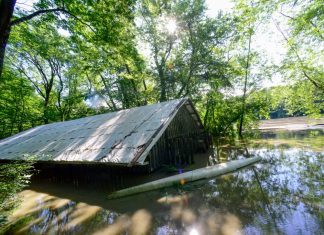 Vermont hit by 2nd day of floods as muddy water reaches the tops of parking meters in capital city – Daily Press