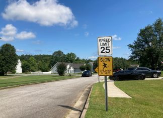 4 slain in Georgia mass shooting memorialized as neighbors gather for candlelight vigil – Daily Press