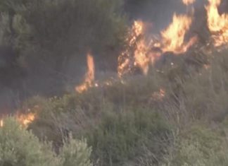 Wildfires across Algeria have killed 25 people, including 10 soldiers who were battling the flames – Daily Press