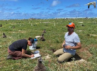 As climate warms, US allows moving species threatened with extinction as a last resort – Daily Press