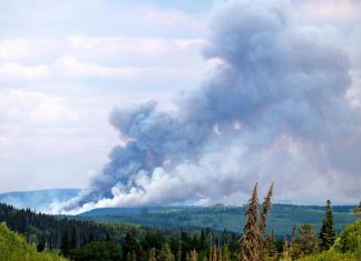 Wildfires in Canada have broken records for area burned, evacuations and cost, official says – Daily Press