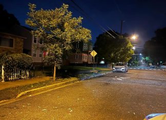 The wave of mass shootings over the Fourth of July highlights the challenges police face – Daily Press