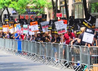 Movie and TV stars join picket lines in fight over the future of Hollywood – Daily Press