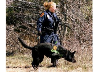 Long Island architect charged in deaths of 3 women in connection with Gilgo Beach serial killings – Daily Press