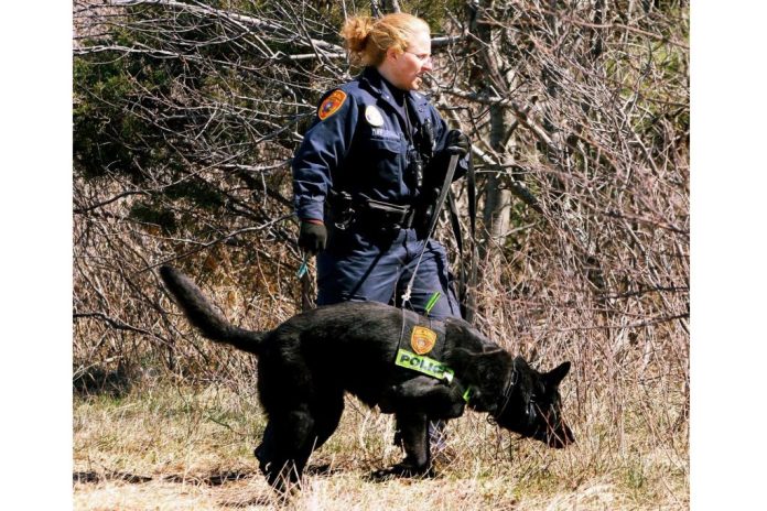 Long_Island_Serial_Killings_52551.jpg