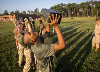 Marines recruiting surges while other services struggle – Daily Press