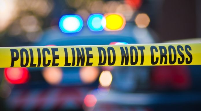 Man killed in late-night shooting in Norfolk – Daily Press