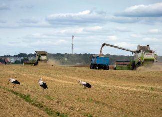 Russia halts landmark deal that allowed Ukraine to export grain at time of growing hunger – Daily Press