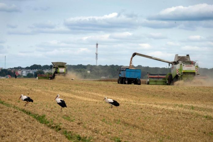 Russia_Ukraine_War_Grain_Deal_50172.jpg