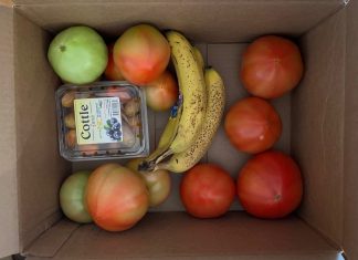 Growing tomatoes with a little less work, and ripening green ones