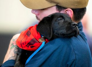 Mutts with a Mission aboard the USS George Washington
