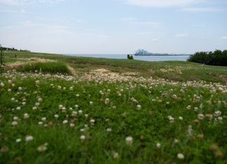 Norfolk should seize chance to build new park – Daily Press