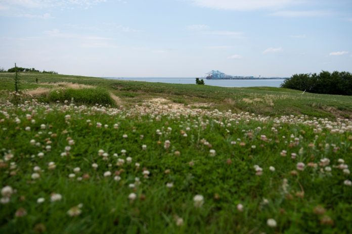 TVP-L-OP-LAMBERTS-POINT-PARK-VA0130821134.jpg