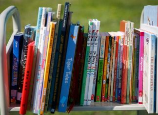 Meeting reading benchmarks requires greater commitment – Daily Press