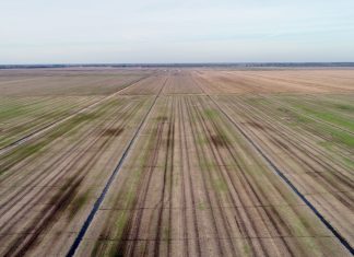 Chesapeake needs to widen roads before it builds an industrial park in southern Chesapeake – Daily Press