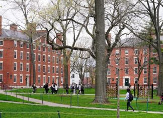 Does it really matter who gets into Harvard? – Daily Press