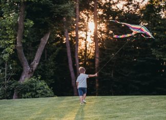Childhood summer sports created a community — and now, nostalgia – Daily Press