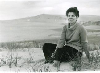 New marker honors woman who took on bulldozer to save Jockey’s Ridge in the Outer Banks – Daily Press