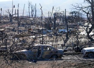 Hawaii works to pause land transactions in area of deadly Maui wildfires. Follow live updates – Daily Press