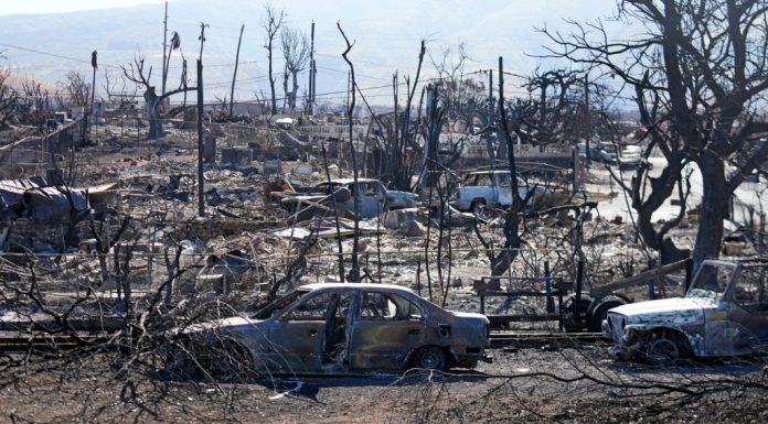 Hawaii works to pause land transactions in area of deadly Maui wildfires. Follow live updates – Daily Press